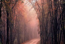 j9九游会官网：巴萨球员将身穿125周年特别版球衣出战.