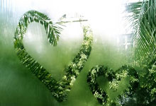 2026女足亚洲杯预选赛分组:中国香港女足分入G组,朝鲜女足H组.