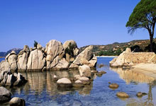 [NBA]戴维斯突破分球 八村塁底角三分命中.